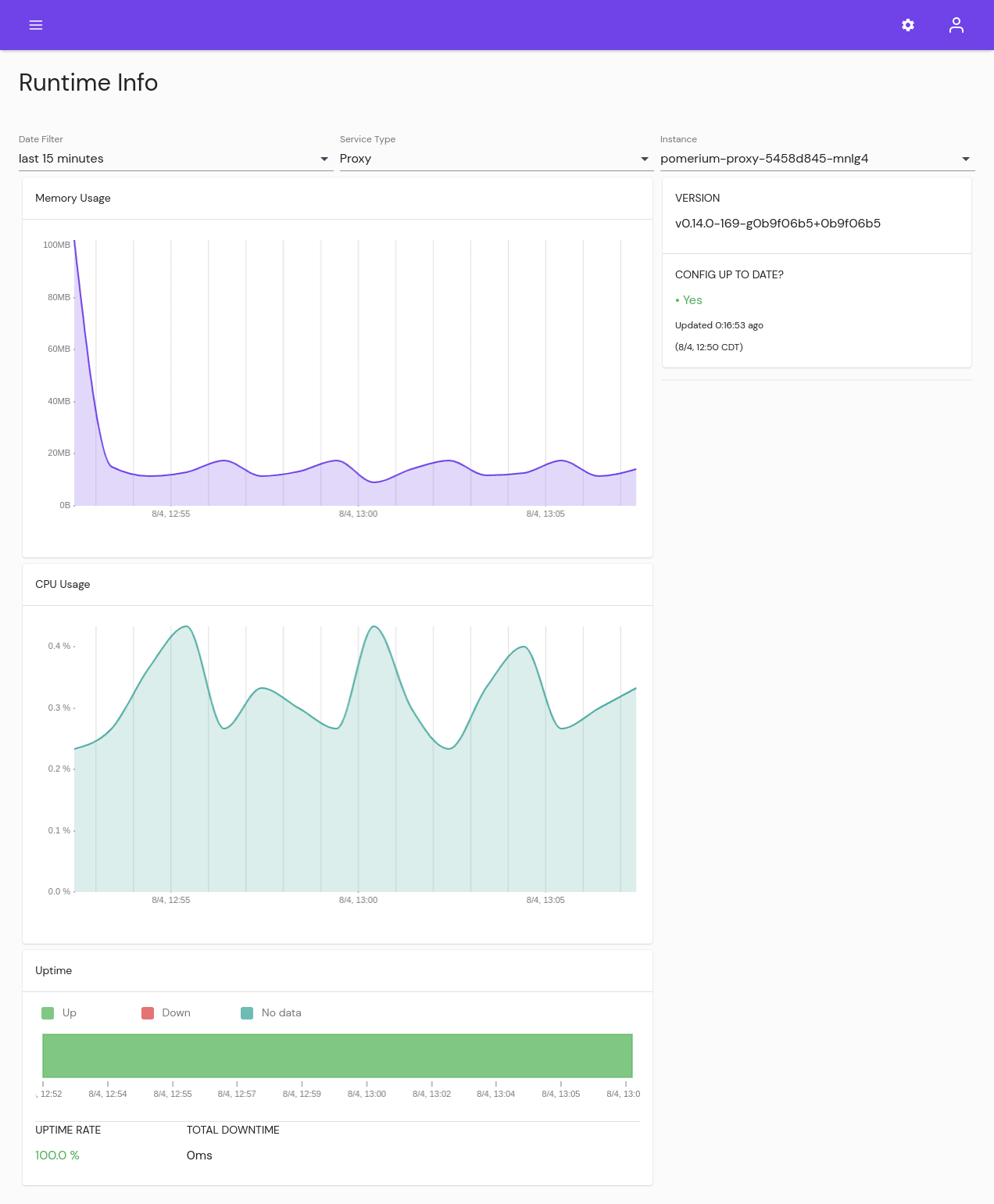 The Runtime Info page in Pomerium Enterprise